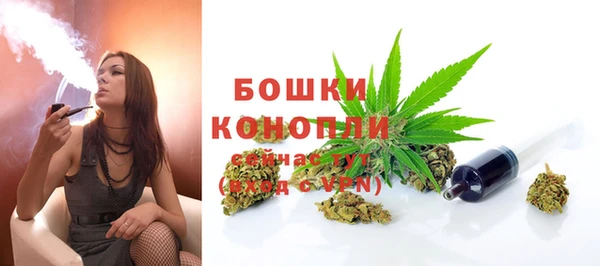 spice Дмитров