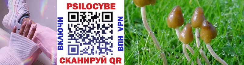 даркнет клад  Зеленогорск  Галлюциногенные грибы GOLDEN TEACHER 