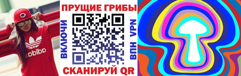 Галлюциногенные грибы Psilocybine cubensis Зеленогорск